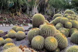 Desert Garden image