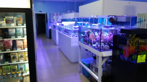 Tropical Fish Store «Blue Reef Aquatics», reviews and photos, 5960 Losee Rd, North Las Vegas, NV 89081, USA