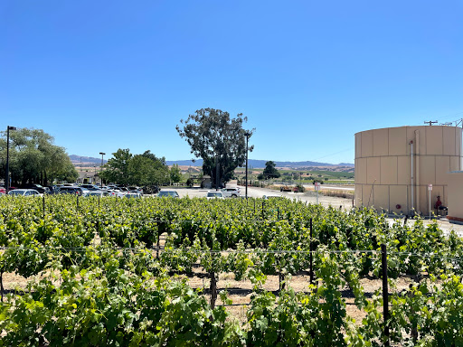 Winery «Garré Vineyard & Winery», reviews and photos, 7986 Tesla Rd, Livermore, CA 94550, USA