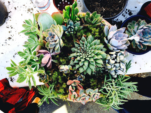 Hardware Store «San Andres Hardware», reviews and photos, 635 W Micheltorena St, Santa Barbara, CA 93101, USA