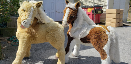 Pet Store «Essex Bird Shop & Pet Supply», reviews and photos, 121 Eastern Ave, Essex, MA 01929, USA