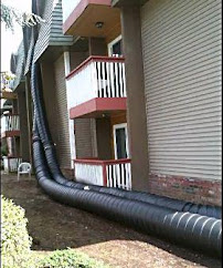 Jade's Jet City Carpet Cleaning, Home of the Incinerator - Photo 8 - Car repair in , Everett