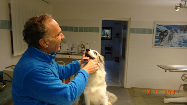 Comentarii opinii despre Dr. Sebesztha László Állatorvosi rendelő