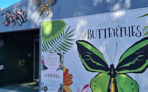 Gold Coast Butterflies image