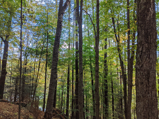 Historical Place «Marsh-Billings-Rockefeller National Historical Park», reviews and photos, 54 Elm St, Woodstock, VT 05091, USA