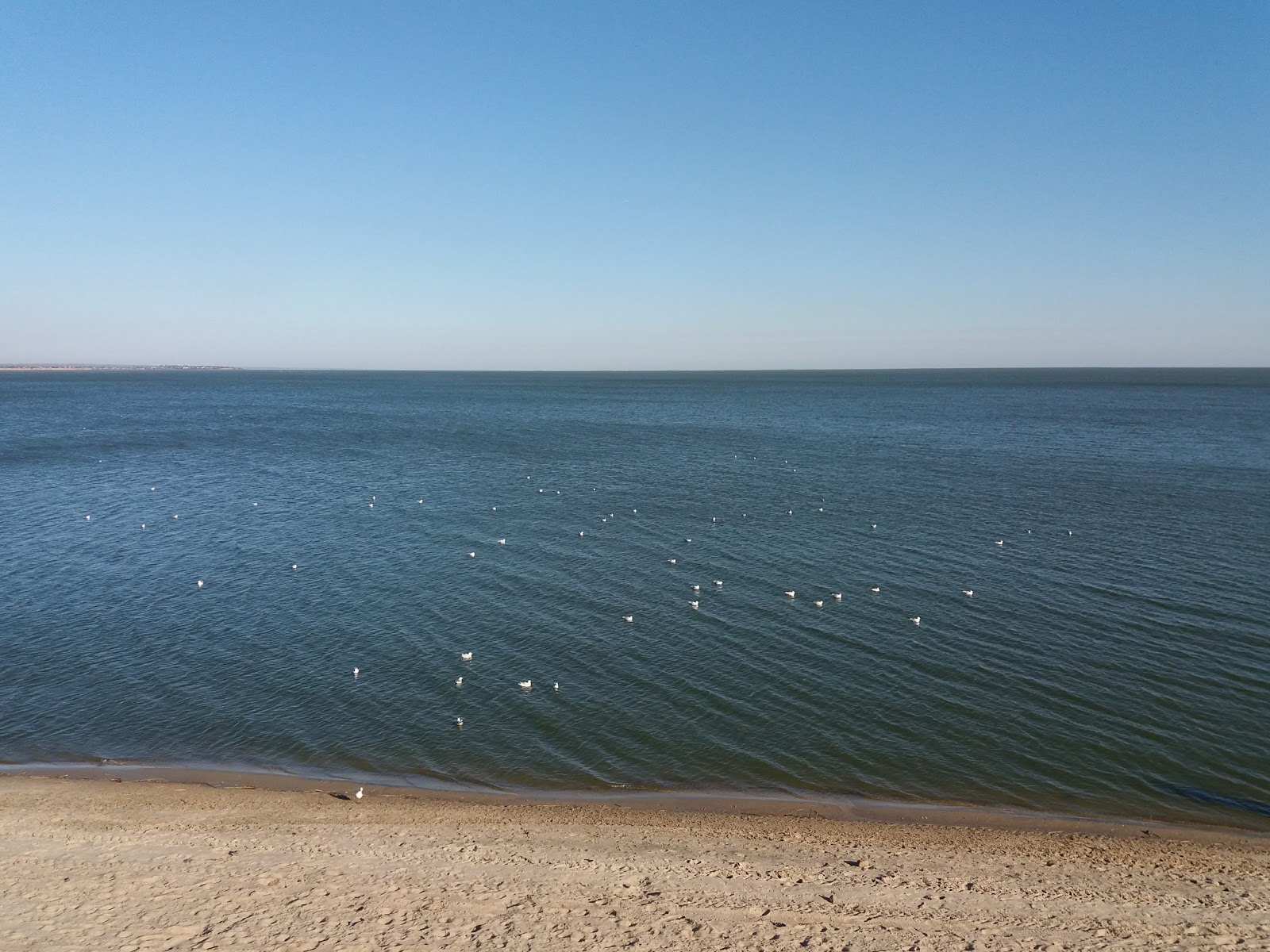 Foto de Plazh Taganrog II con parcialmente limpio nivel de limpieza