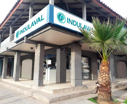 Indulaval Lavaseco Lavandería