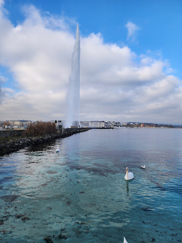 Genève Jardin Anglais