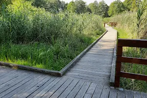 Park Zdrojowy im. hrabiego Witolda Skórzewskiego w Konstancinie-Jeziornie image