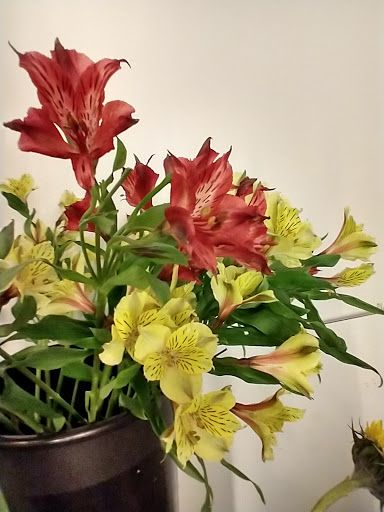 Florist «Grace Harper Florist, Inc.», reviews and photos, 4135 Woodward Ave, Detroit, MI 48201, USA