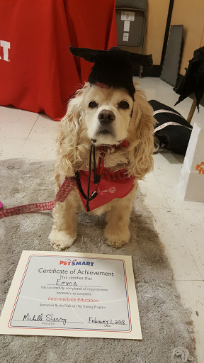 Pet Supply Store «PetSmart», reviews and photos, 1705 N Bechtle Ave, Springfield, OH 45504, USA