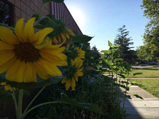 Coffee Shop «RoosRoast Coffee», reviews and photos, 1155 Rosewood St b, Ann Arbor, MI 48104, USA