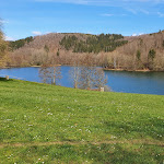 Photo n°1 de l'avis de No.i fait le 15/04/2022 à 12:55 sur le  Freilinger Seebar à Blankenheim