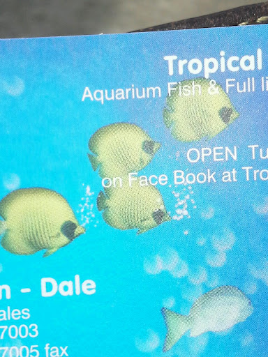 Tropical Fish Store «Tropical Decor Too», reviews and photos, 62 Otsego St, Ilion, NY 13357, USA