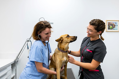 Clinique Vétérinaire Argos à Saint-Maur-des-Fossés