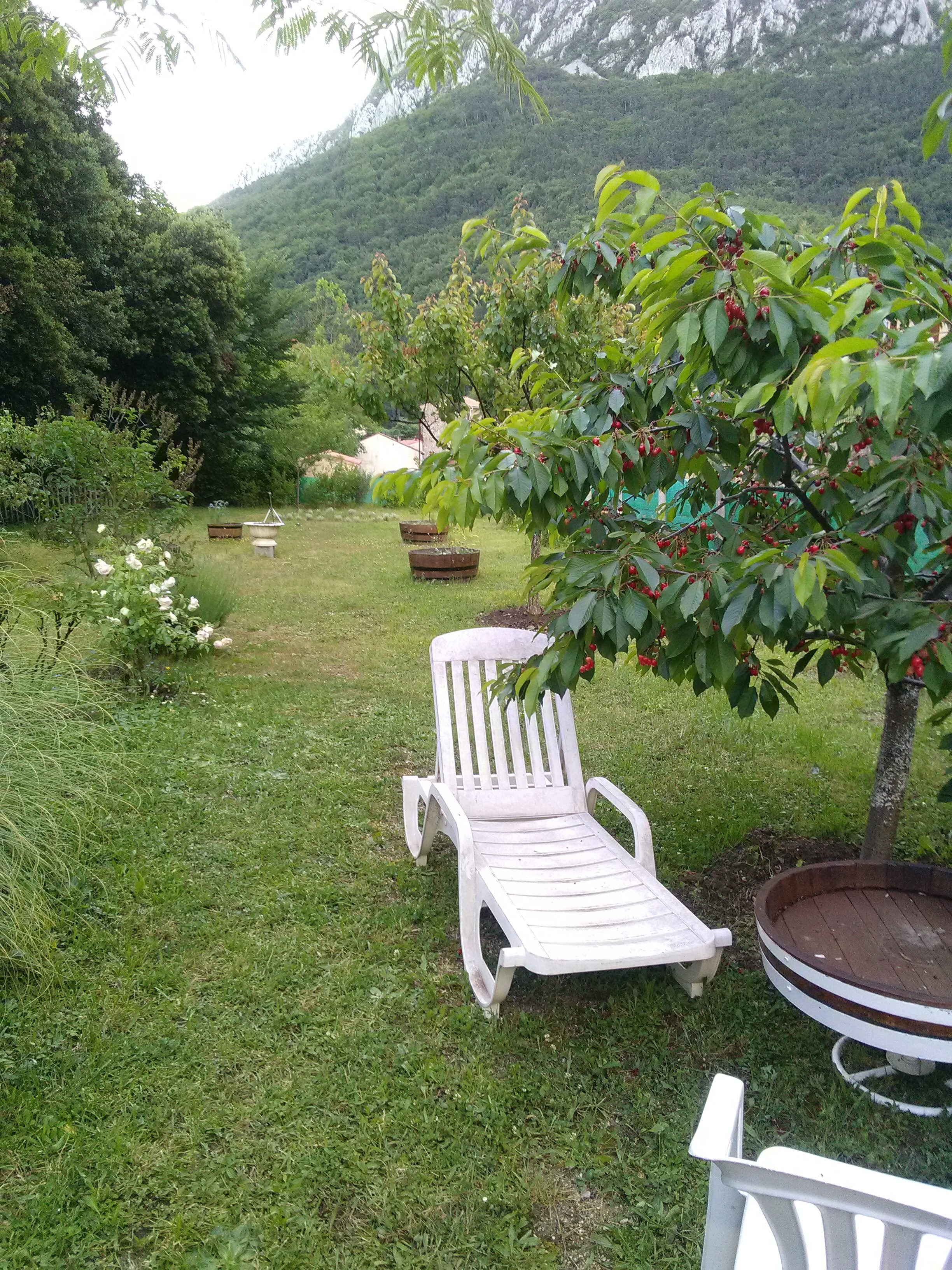 Photo n° 2 de l'avis de Foegle.e fait le 19/07/2018 à 17:00