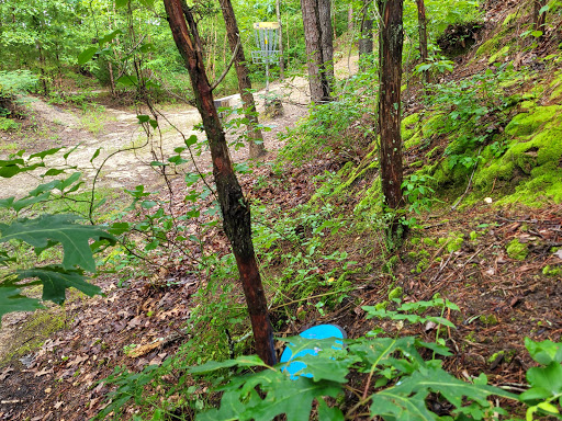 Disc Golf Course «South Vineland Disc Golf Course- Crystal Lake», reviews and photos, W Elmer Rd, Vineland, NJ 08360, USA