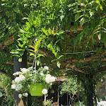 Photo n°3 de l'avis de martina.a fait le 12/05/2024 à 18:58 sur le  Il Convento di Cuma à Pozzuoli