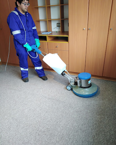 Cleaning Deep Limpieza y sanitizacion de Alfombras y Pisos a Domicilio