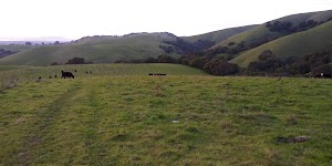 Dry Creek Staging Area - photo 87