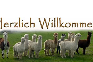 GAW Graceland Alpacas Wehrsdorf image