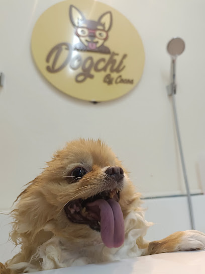 Dogchi By Cocoa อาบน้ำ-ตัดขน