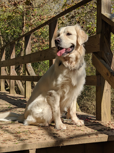 State Park «Chattahoochee Bend State Park», reviews and photos, 425 Bobwhite Way, Newnan, GA 30263, USA