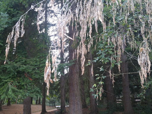 Park «Sacajawea Park», reviews and photos, 1401 S Dash Point Rd, Federal Way, WA 98003, USA