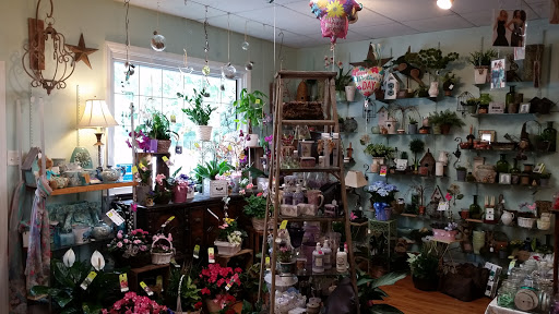 Florist «Belak Flowers», reviews and photos, 832 Philadelphia Pike, Wilmington, DE 19809, USA