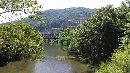 Bicycle Store «UnderDog Bikes», reviews and photos, 1113 Piedmont St SE, Roanoke, VA 24014, USA