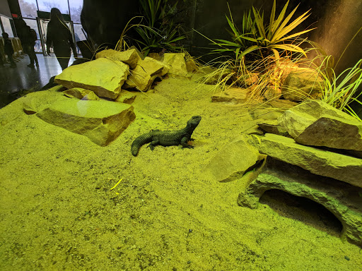 Zoo «Detroit Zoo», reviews and photos, 8450 W 10 Mile Rd, Royal Oak, MI 48067, USA