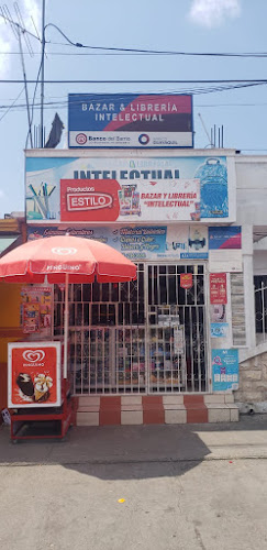 Bazar y Librería Intelectual