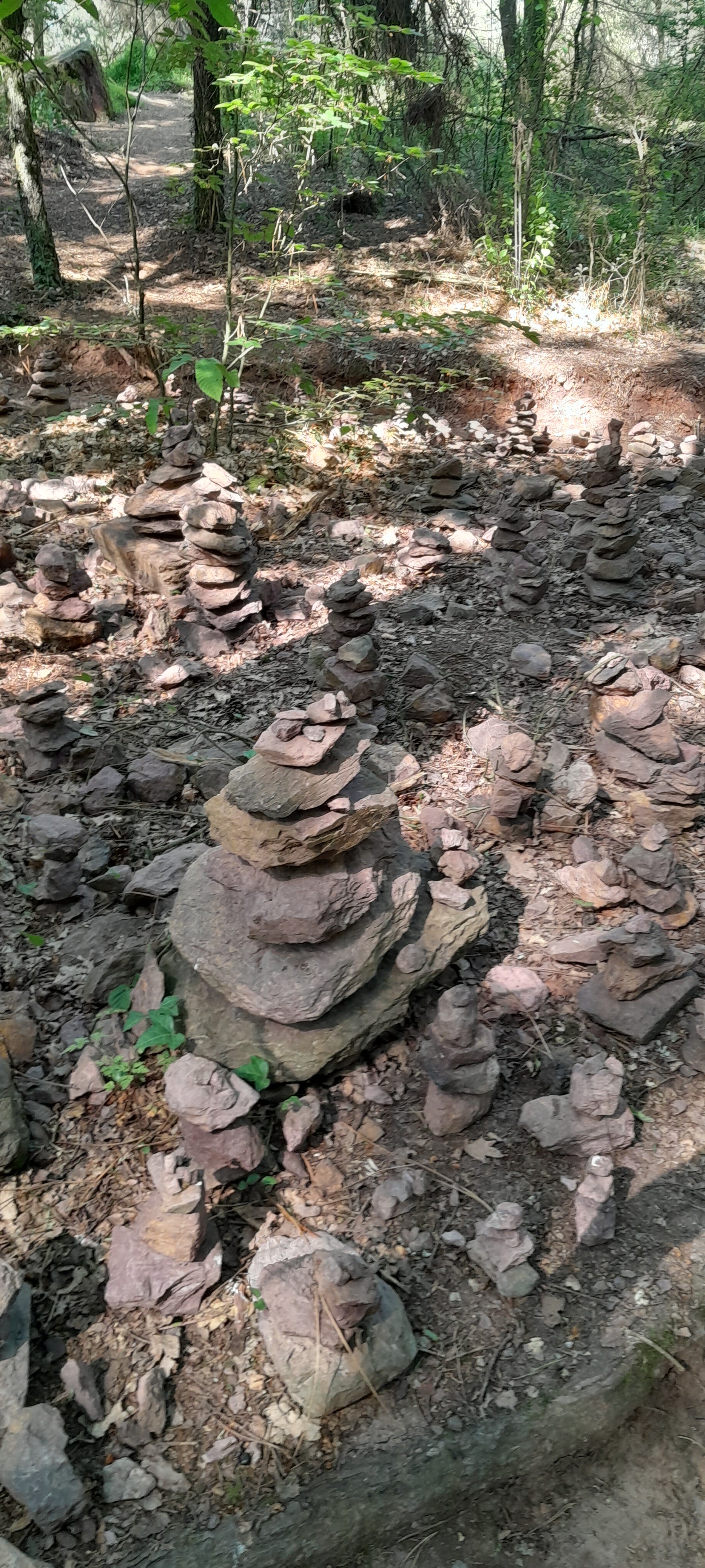 Photo n° 2 de l'avis de Loïc.A fait le 28/05/2023 à 19:40