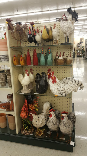 Craft Store «Hobby Lobby», reviews and photos, 1000 Immokalee Rd #30, Naples, FL 34110, USA