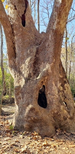 Nature Preserve «Sweet Arrow Reserve», reviews and photos, 789 Little Sugarcreek Rd, Sugarcreek Township, OH 45440, USA