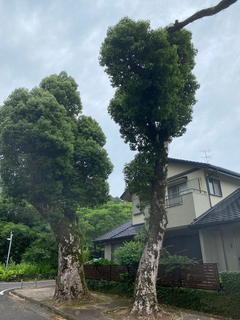 都萬神社 二ノ鳥居