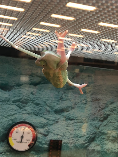 Pet Supply Store «Petco Animal Supplies», reviews and photos, 403 N 8th St, West Dundee, IL 60118, USA