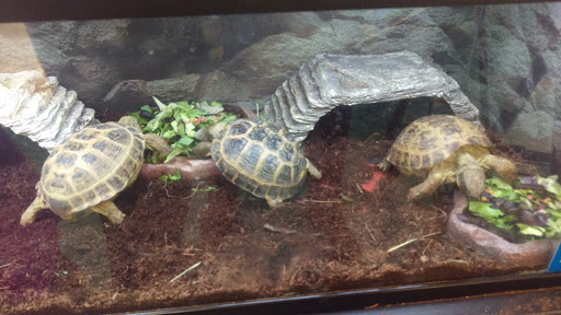 Pet Supply Store «Petco Animal Supplies», reviews and photos, 6672 Lonetree Blvd, Rocklin, CA 95765, USA