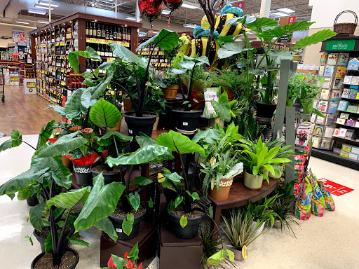 Albertsons image