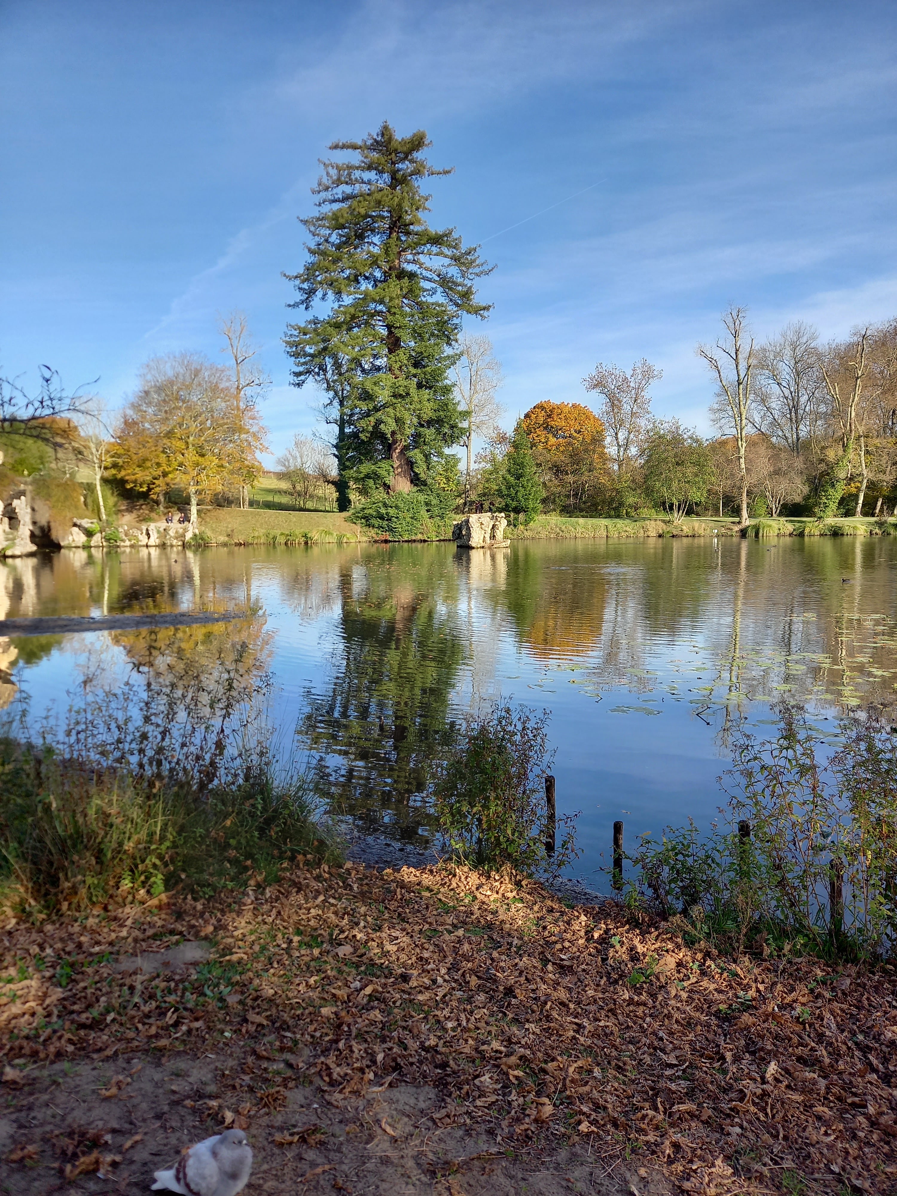 Photo n° 3 de l'avis de Alain.o fait le 12/11/2021 à 16:04