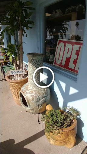 Gift Shop «Sea Shell Shoppe», reviews and photos, 120 N Austin St, Rockport, TX 78382, USA