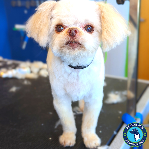 Pet Store «Healthy Pets Mountain West», reviews and photos, 2352 Fort Union Blvd, Cottonwood Heights, UT 84121, USA