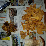 Photo n°4 de l'avis de Gerardo.l fait le 01/09/2018 à 07:45 sur le  Ristorante Da Kathi à Innichen