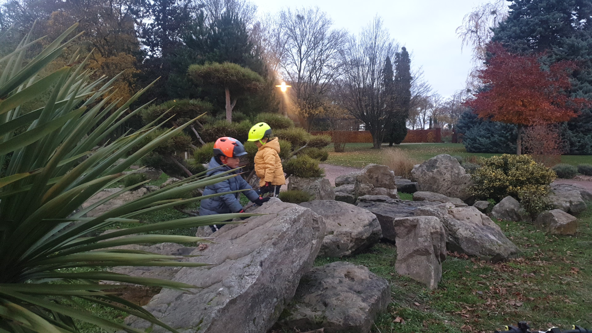 Photo n° 3 de l'avis de ZAKIA.o fait le 24/11/2019 à 16:05