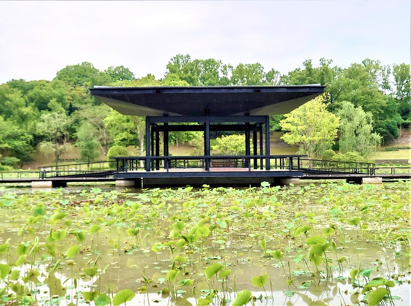 日本庭園（現代庭園地区）