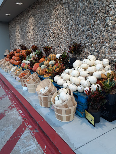 Grocery Store «Albertsons», reviews and photos, 215 N Carrier Pkwy, Grand Prairie, TX 75050, USA