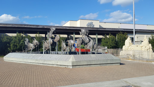 Aquarium «North Carolina Aquarium at Pine Knoll Shores», reviews and photos, 1 Roosevelt Blvd, Pine Knoll Shores, NC 28512, USA