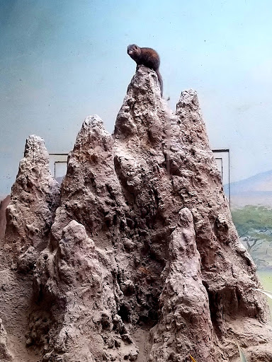 Zoo «Bronx Zoo», reviews and photos, 2300 Southern Blvd, Bronx, NY 10460, USA