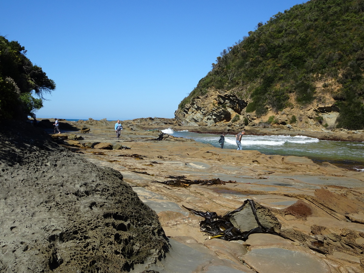 Parker Beach'in fotoğrafı çok temiz temizlik seviyesi ile