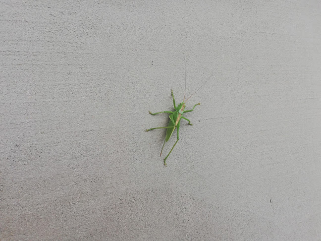 Comentarii opinii despre Elklim chłodnictwo klimatyzacja wentylacja